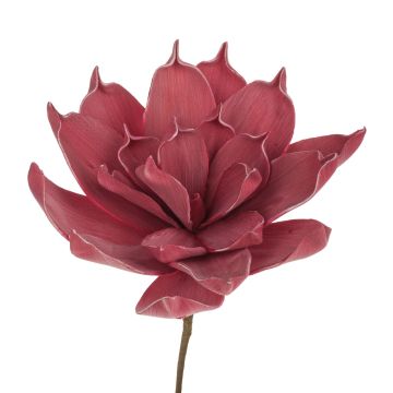 Kunststoffschaum Aloe Vera LIERA, purpurrot, 30cm