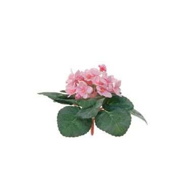 Kunstblume Usambaraveilchen ANELVIA, Steckstab, rosa, 15cm Kunstblume Usambaraveilchen ANELVIA, Steckstab, rosa, 15cm