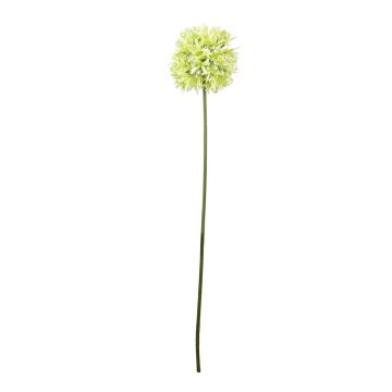 Kunstblume Allium NAYELIA, grün, 75cm Kunstblume Allium NAYELIA, grün, 75cm