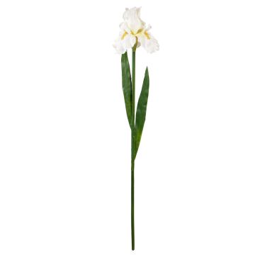 Textilblume Iris CIREVIA, weiß, 75cm Textilblume Iris CIREVIA, weiß, 75cm