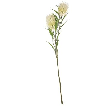 Künstlicher Zweig Zylinderputzer UVELINA mit Blüten, creme, 75cm Künstlicher Zweig Zylinderputzer UVELINA mit Blüten, creme, 75cm