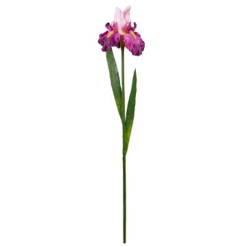 Textilblume Iris CIREVIA, rosa-cerise, 75cm Textilblume Iris CIREVIA, rosa-cerise, 75cm