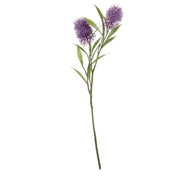 Künstlicher Zweig Zylinderputzer UVELINA mit Blüten, violett, 75cm Künstlicher Zweig Zylinderputzer UVELINA mit Blüten, violett, 75cm