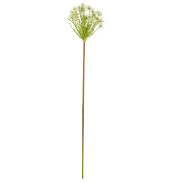 Kunstblume Allium ITZALIA, weiß, 70cm