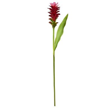 Künstliche Blume Kurkuma DIENDALIN, rosa-rot, 75cm Künstliche Blume Kurkuma DIENDALIN, rosa-rot, 75cm
