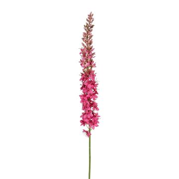 Dekoblume Steppenkerze SINDABE, dunkelrosa, 105cm Dekoblume Steppenkerze SINDABE, dunkelrosa, 105cm