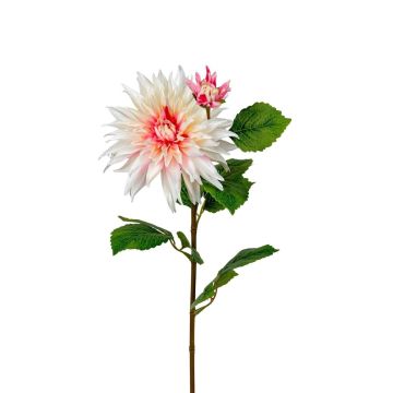 Dekoblume Dahlie REMIANA, creme-rosa, 70cm