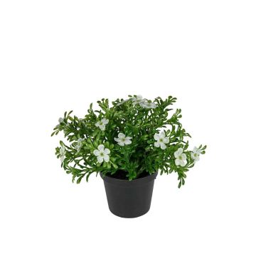 Kunstblume Fingerkraut ISLENA im Dekotopf, weiß, 14cm
