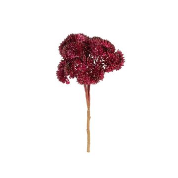 Kunst Sedum telephium Blüte DAIHLA, burgunderrot, 20cm