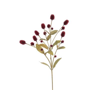 Deko Blumenzweig Kugelamarant THUSNELDA, burgunderrot, 70cm, Ø1,5-2,5cm Deko Blumenzweig Kugelamarant THUSNELDA, burgunderrot, 70cm, Ø1,5-2,5cm