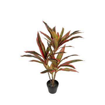 Kunstpflanze Keulenlilie ROSAVIA mit Wurzeln, Dekotopf, grün-rot, 80cm