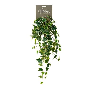 Kunstpflanze Efeu NILEMIA, hängend, Steckstab, grün, 60cm Kunstpflanze Efeu NILEMIA, hängend, Steckstab, grün, 60cm