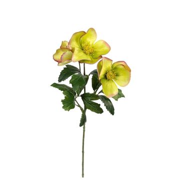 Deko Zweig Christrose LIONAMA, grün, 45cm Deko Zweig Christrose LIONAMA, grün, 45cm