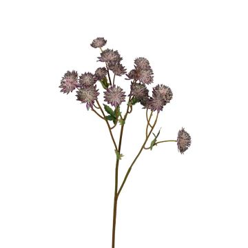 Kunstzweig Sterndolde ORLENIA, mauve, 60cm Kunstzweig Sterndolde ORLENIA, mauve, 60cm