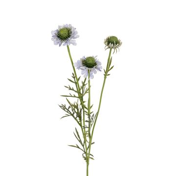 Kunst Zweig Scabiosa caucasica NOVALIA, hellblau, 60cm