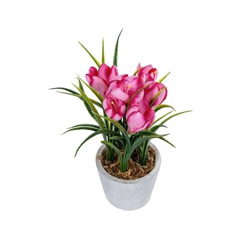 Künstliche Blume Krokus ELNIRA im Dekotopf, rosa, 24cm Künstliche Blume Krokus ELNIRA im Dekotopf, rosa, 24cm