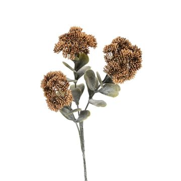 Kunst Zweig Sedum spectabile SHAIMAL mit Blüten, braun, 55cm