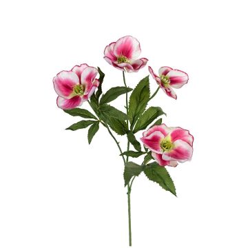 Deko Zweig Christrose NIOMERA, pink-creme, 75cm Deko Zweig Christrose NIOMERA, pink-creme, 75cm