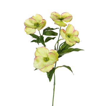 Deko Zweig Christrose NIOMERA, grün, 75cm Deko Zweig Christrose NIOMERA, grün, 75cm