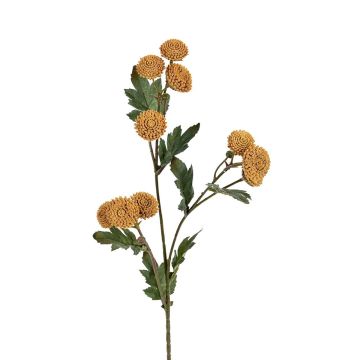 Kunst Zweig Bellis PIELLA, beige, 60cm