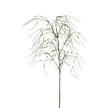 Kunst Zweig Federgras AVELYA mit Rispen, grün, 105cm