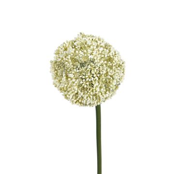 Kunstblume Allium LAYANE, weiß-grün, 65cm Kunstblume Allium LAYANE, weiß-grün, 65cm