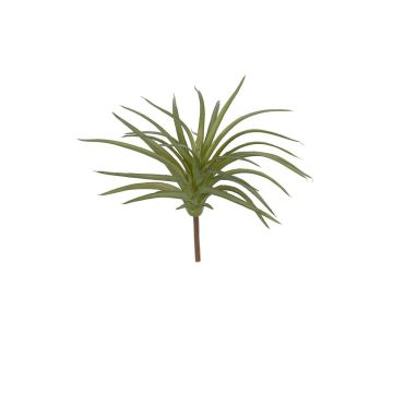 Kunst Sukkulente Tillandsia stricta RIVELIA, Steckstab, grün, 20cm