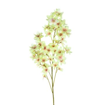 Dekozweig Frangipani SHALMA, hellgrün, 90cm