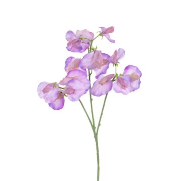 Kunst Zweig Lathyrus latifolius GAVERIA, lavendel, 70cm Kunst Zweig Lathyrus latifolius GAVERIA, lavendel, 70cm