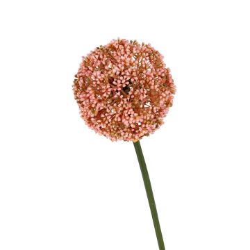 Kunstblume Allium LAYANE, rosa, 65cm Kunstblume Allium LAYANE, rosa, 65cm