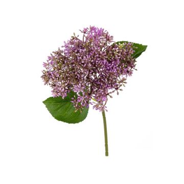 Kunst Sedum telephium Blüte TAIHNA, lila, 30cm