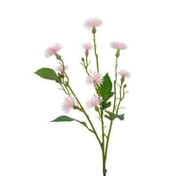 Kunst Zweig Kornblume HAVERIA, rosa, 55cm Kunst Zweig Kornblume HAVERIA, rosa, 55cm