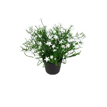 Kunstblume Sternblume FARELIA im Dekotopf, weiß, 24cm Kunstblume Sternblume FARELIA im Dekotopf, weiß, 24cm