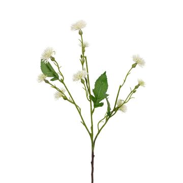 Kunst Zweig Kornblume HAVERIA, creme, 55cm Kunst Zweig Kornblume HAVERIA, creme, 55cm