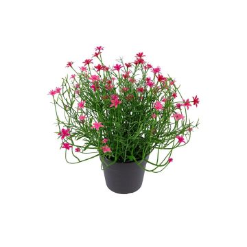 Kunstblume Sternblume FARELIA im Dekotopf, pink, 24cm Kunstblume Sternblume FARELIA im Dekotopf, pink, 24cm