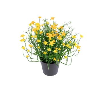 Kunstblume Sternblume FARELIA im Dekotopf, gelb, 24cm Kunstblume Sternblume FARELIA im Dekotopf, gelb, 24cm