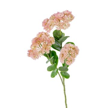 Kunst Zweig Sedum spectabile SHAIMAL mit Blüten, rosa, 55cm