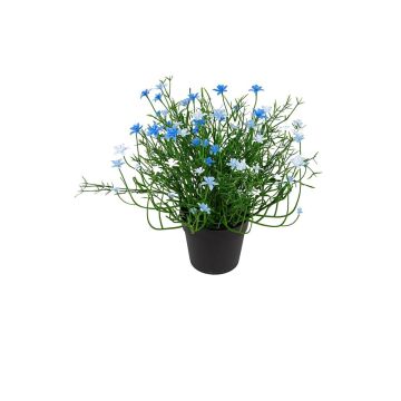 Kunstblume Sternblume FARELIA im Dekotopf, blau, 24cm Kunstblume Sternblume FARELIA im Dekotopf, blau, 24cm