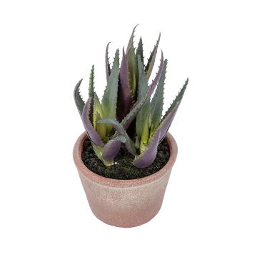 Künstliche Sukkulente Aloe vera DORELINA im Dekotopf, grün-violett, 21cm Künstliche Sukkulente Aloe vera DORELINA im Dekotopf, grün-violett, 21cm