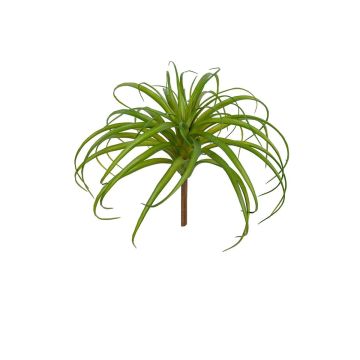 Kunst Sukkulente Tillandsia stricta FILDANA, Steckstab, grün, 30cm, Ø35cm