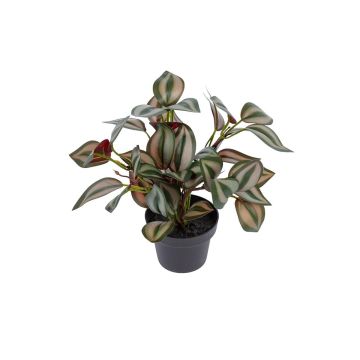 Fake Pflanze Tradescantia zebrina BRENIVA im Dekotopf, grün-mauve, 20cm