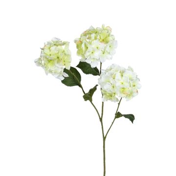 Deko Zweig Hortensie UKIANNA, hellgrün, 80cm