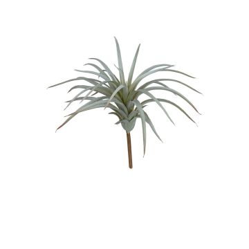 Kunst Sukkulente Tillandsia stricta RIVELIA, Steckstab, grau, 20cm