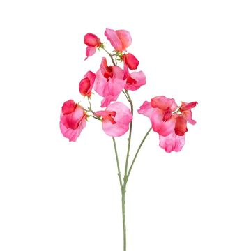 Kunst Zweig Lathyrus latifolius GAVERIA, rosa, 70cm Kunst Zweig Lathyrus latifolius GAVERIA, rosa, 70cm