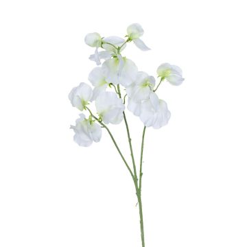 Kunst Zweig Lathyrus latifolius GAVERIA, weiß, 70cm Kunst Zweig Lathyrus latifolius GAVERIA, weiß, 70cm