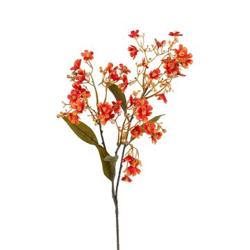 Deko Zweig Heliophila VERUNIA, orange, 70cm