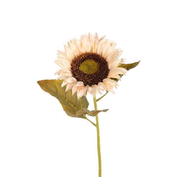 Kunst Sonnenblume BELLORA, creme, 75cm