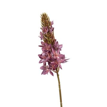 Dekoblume Steppenkerze HINNALE, mauve, 75cm Dekoblume Steppenkerze HINNALE, mauve, 75cm