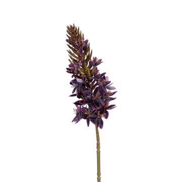 Dekoblume Steppenkerze HINNALE, violett, 75cm Dekoblume Steppenkerze HINNALE, violett, 75cm