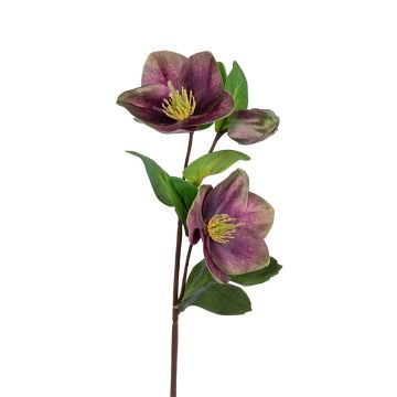 Deko Zweig Christrose SAIDANA, violett, 35cm Deko Zweig Christrose SAIDANA, violett, 35cm